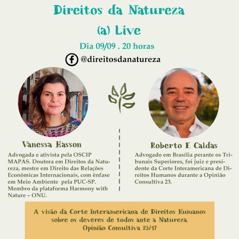 Corte Interamericana de Direitos Humanos e os Direitos da Natureza